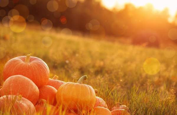 October is Fall Car Care Month!